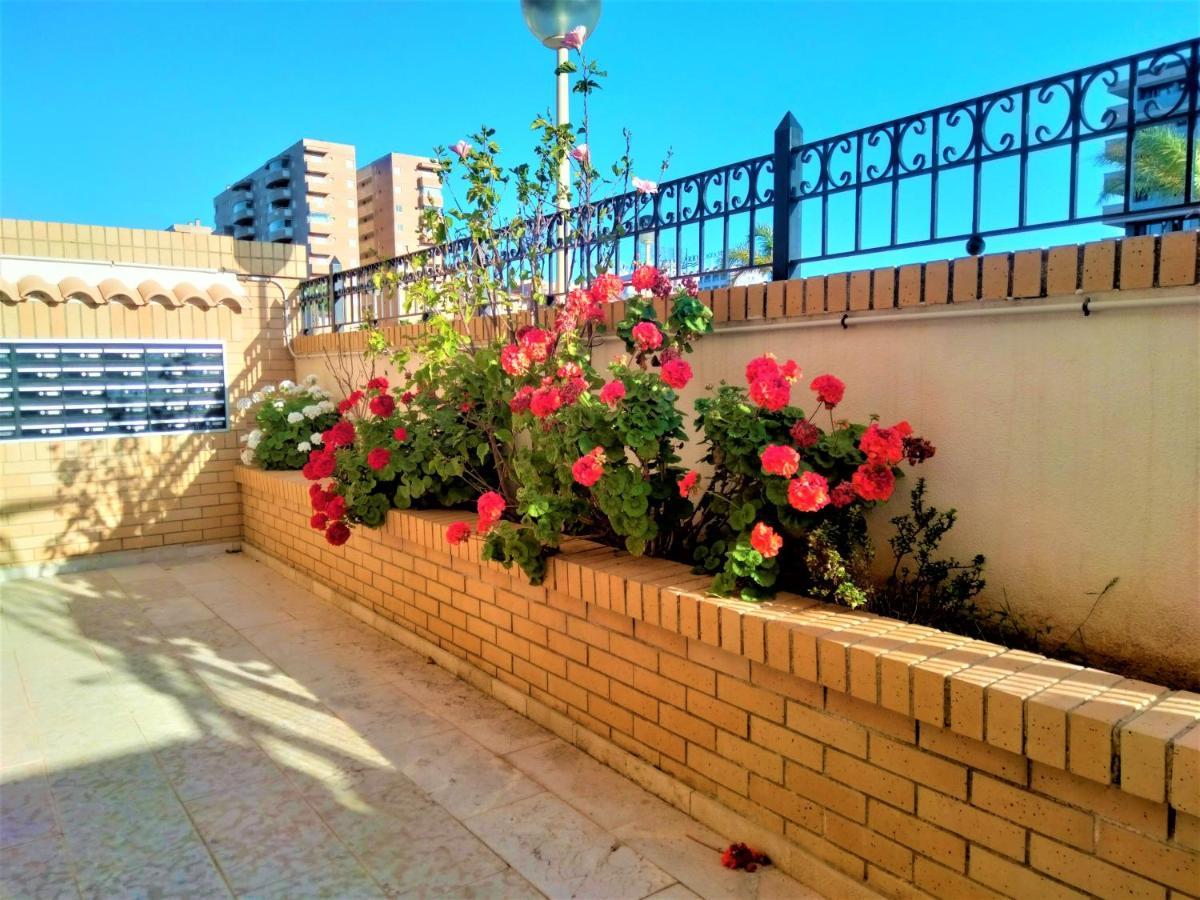 ACV - Valparaiso-2ª Linea Planta 1 Norte Oropesa del Mar Esterno foto